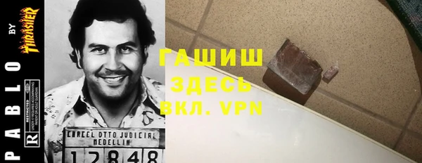 гашик Алексеевка